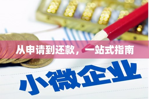 新泰从申请到还款，一站式指南