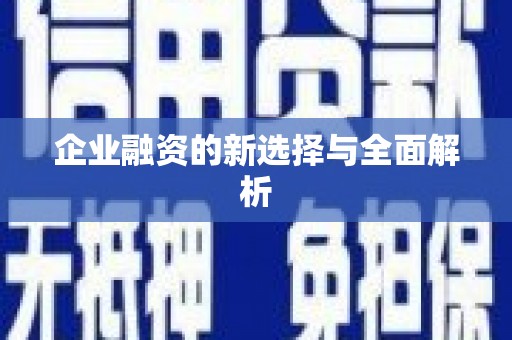 新泰企业融资的新选择与全面解析