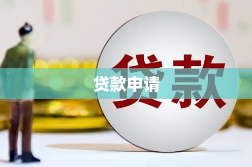 新泰贷款申请