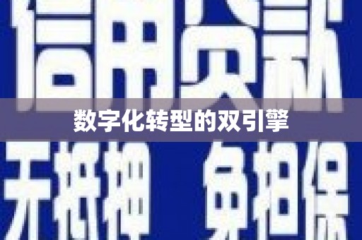 新泰数字化转型的双引擎
