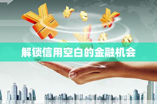 新泰解锁信用空白的金融机会