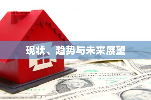 新泰现状、趋势与未来展望