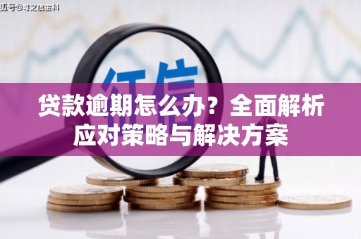 新泰贷款逾期怎么办？全面解析应对策略与解决方案