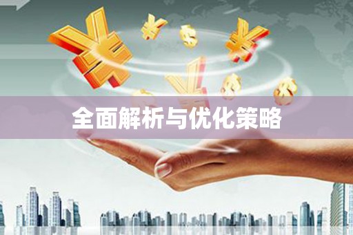 新泰全面解析与优化策略