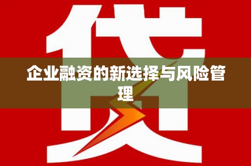 新泰企业融资的新选择与风险管理