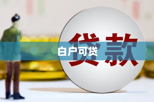 新泰白户可贷