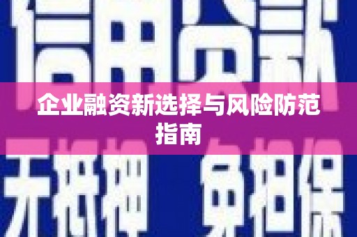 新泰企业融资新选择与风险防范指南