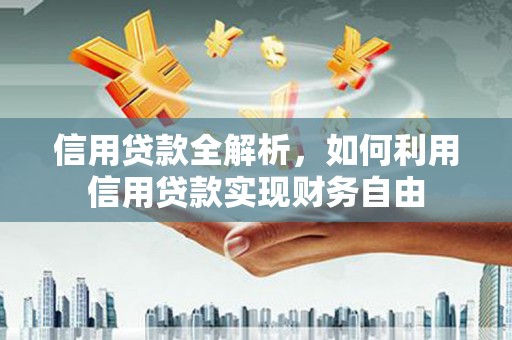 新泰信用贷款全解析，如何利用信用贷款实现财务自由