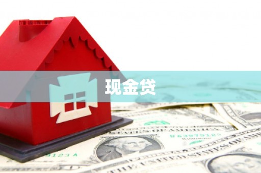 新泰现金贷