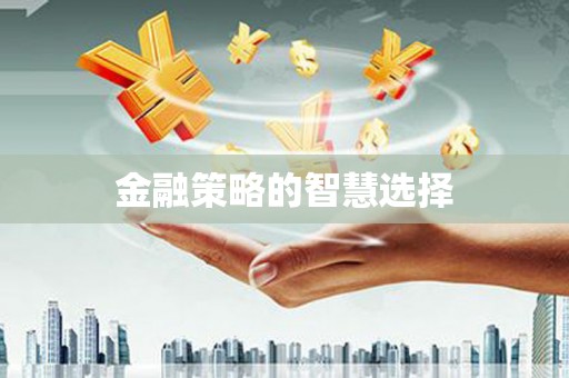 新泰金融策略的智慧选择
