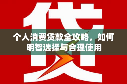 新泰个人消费贷款全攻略，如何明智选择与合理使用