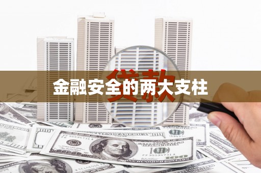 新泰金融安全的两大支柱