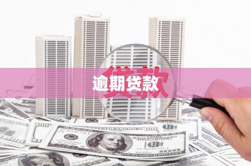 新泰逾期贷款