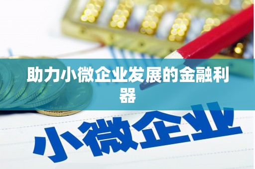 新泰助力小微企业发展的金融利器