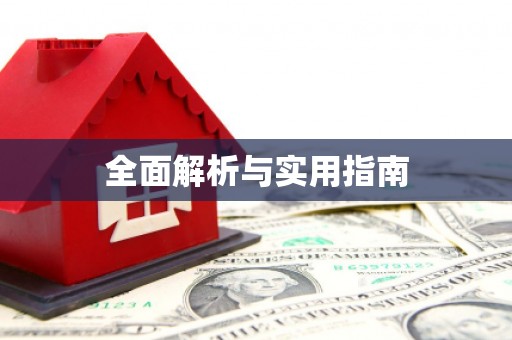 新泰全面解析与实用指南