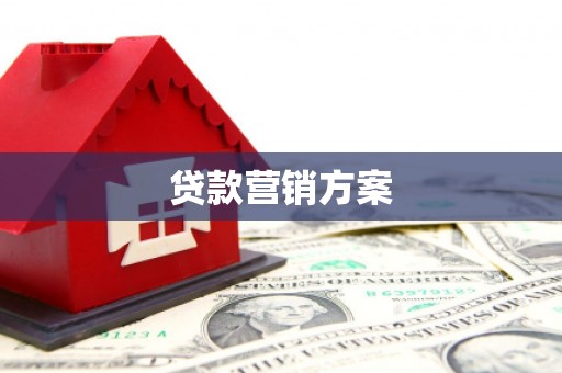新泰贷款营销方案