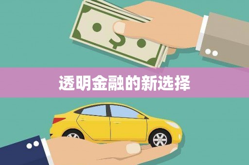 新泰透明金融的新选择