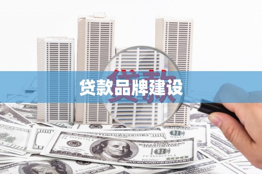 新泰贷款品牌建设