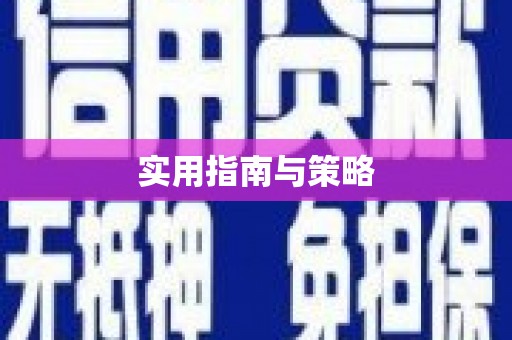 新泰实用指南与策略
