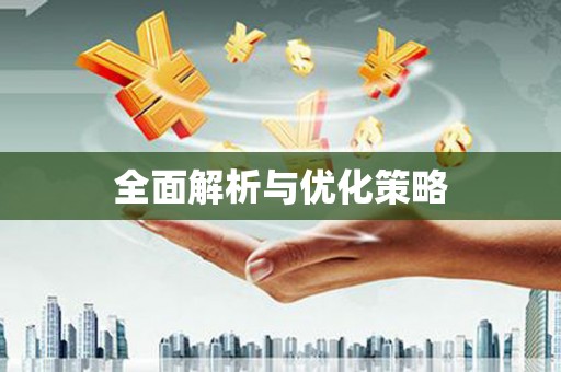 新泰全面解析与优化策略