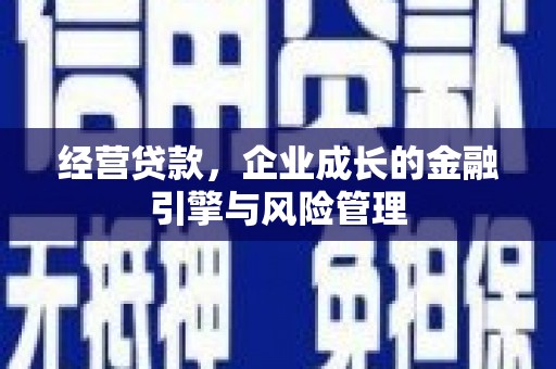 新泰经营贷款，企业成长的金融引擎与风险管理