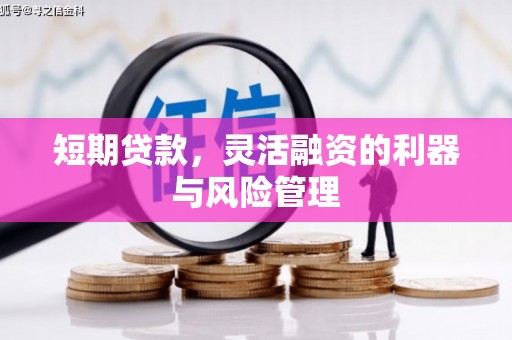 新泰短期贷款，灵活融资的利器与风险管理