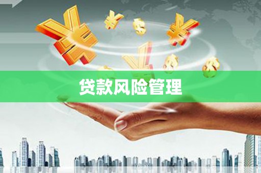 新泰贷款风险管理