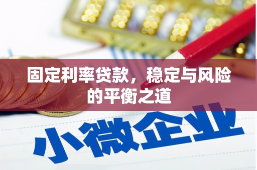 新泰固定利率贷款，稳定与风险的平衡之道