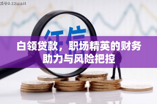 新泰白领贷款，职场精英的财务助力与风险把控